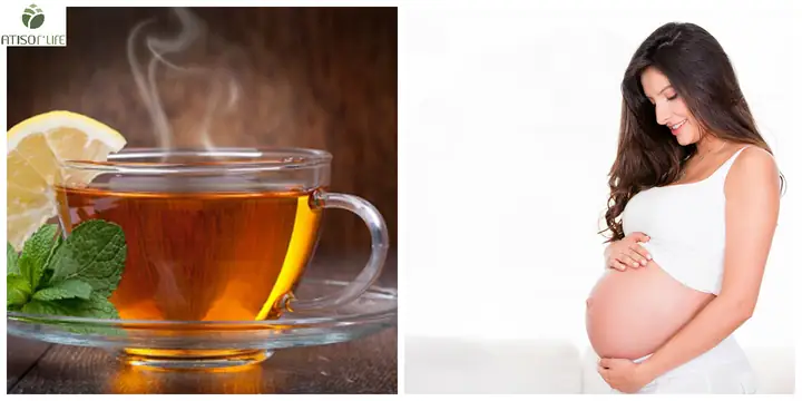 Có Bầu Uống Trà Atiso Được Không