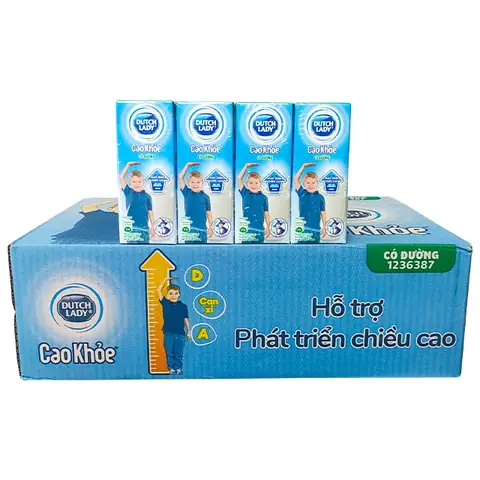 Cô Gái Hà Lan Cao Khỏe