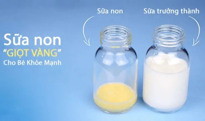 Có Nên Bổ Sung Sữa Non Cho Trẻ Sơ Sinh