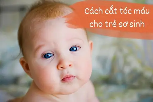Có Nên Cắt Tóc Cho Trẻ Dưới 1 Tuổi
