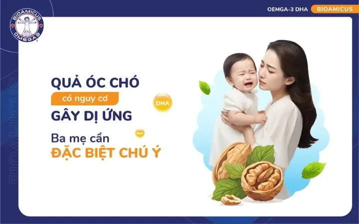 Có Nên Cho Trẻ Uống Sữa Óc Chó
