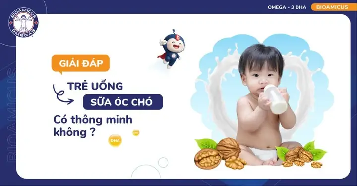 Có Nên Cho Trẻ Uống Sữa Óc Chó Có Nên Cho Trẻ Uống Sữa Óc Chó