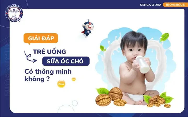 Có Nên Cho Trẻ Uống Sữa Óc Chó Có Nên Cho Trẻ Uống Sữa Óc Chó