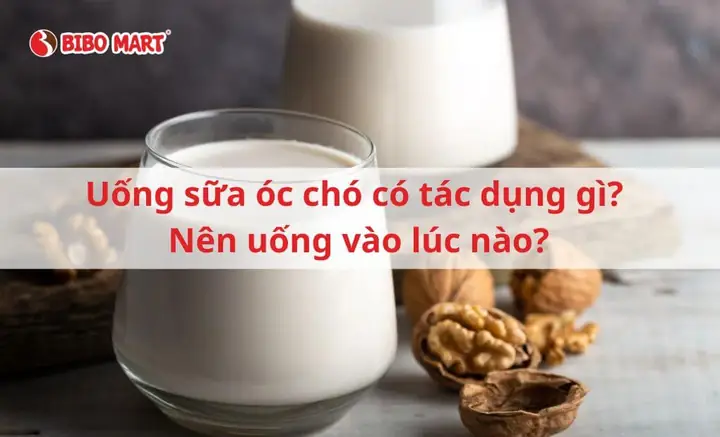 Có Nên Cho Trẻ Uống Sữa Óc Chó Có Nên Cho Trẻ Uống Sữa Óc Chó