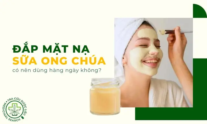 Có Nên Đắp Sữa Ong Chúa Hàng Ngày