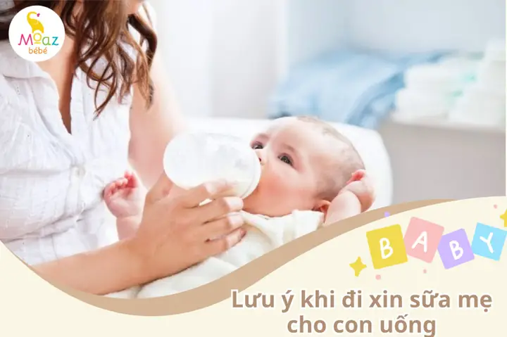 Có Nên Đi Xin Sữa Mẹ Cho Con