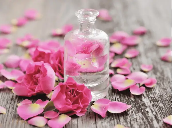 Có Nên Dùng Nước Hoa Hồng Hàng Ngày Không
