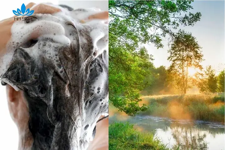Có Nên Gội Đầu Lúc Sáng Sớm