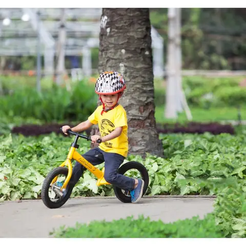 Có Nên Mua Xe Đạp Cân Bằng Cho Bé