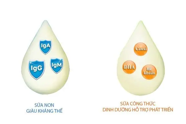 Co Nen Pha Sua Me Chung Voi Sua Cong Thuc