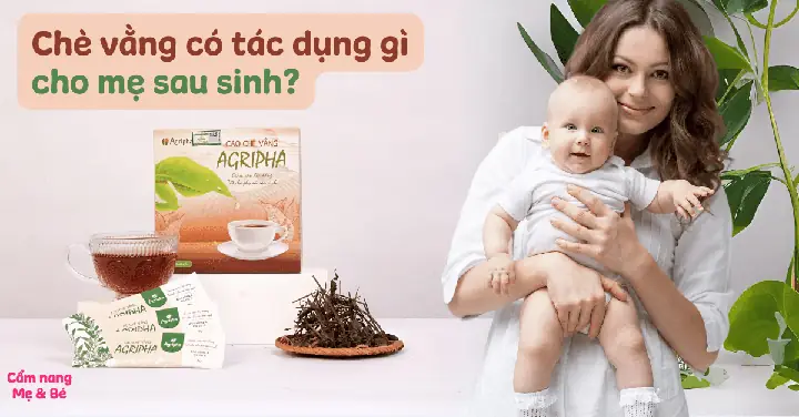 Có Nên Uống Chè Vằng Trước Khi Sinh