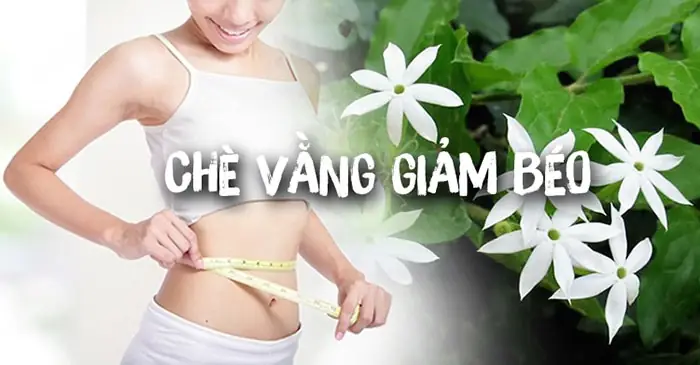 Có Nên Uống Chè Vằng Trước Khi Sinh