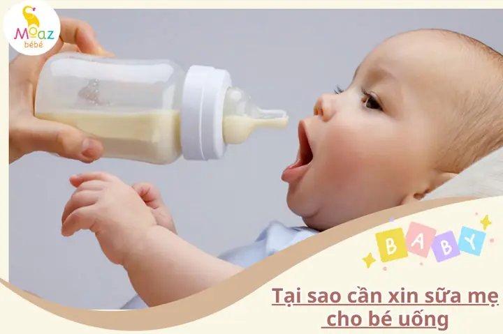 Có Nên Xin Sữa Cho Bé Uống