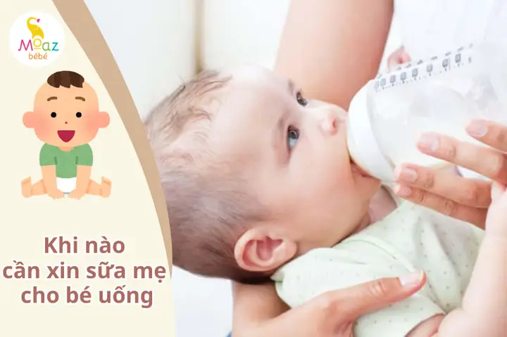 Có Nên Xin Sữa Cho Bé Uống