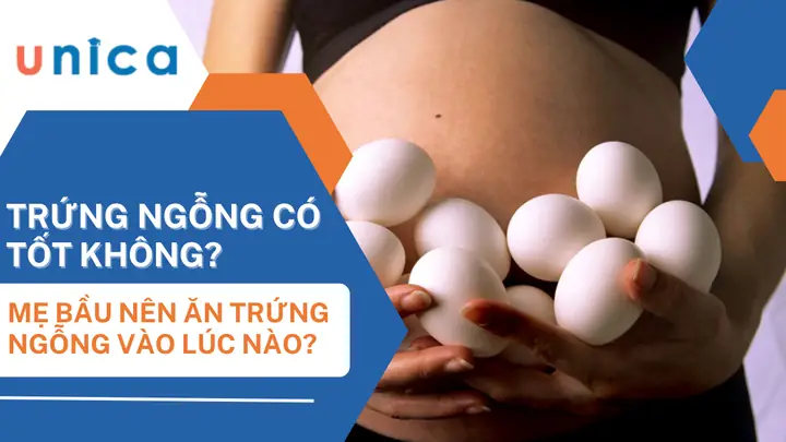 Co Thai An Trung Ngong Vao Thoi Diem Nao