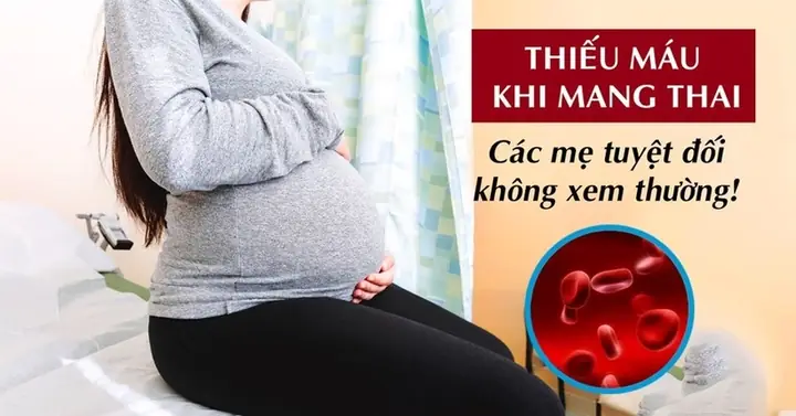 Có Thai Có Hiến Máu Được Không