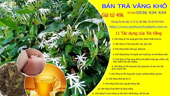 Cong Dung Cua Cao Che Vang