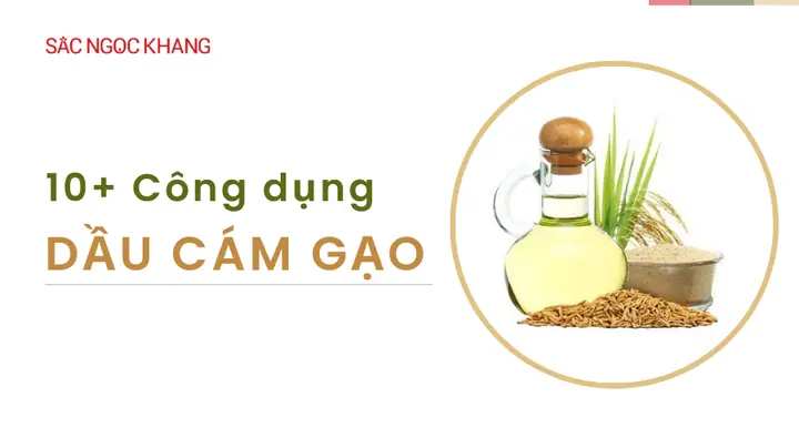 Cong Dung Cua Dau Cam Gao