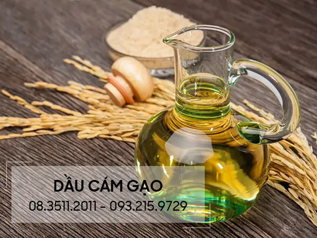 Cong Dung Cua Dau Cam Gao