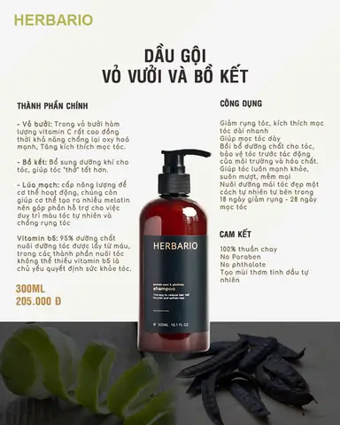 Công Dụng Của Dầu Gội Bồ Kết