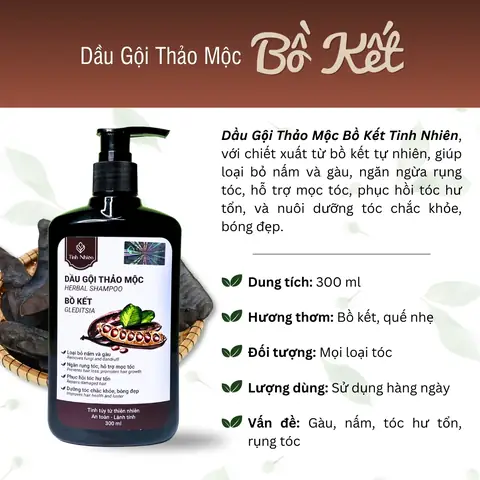 Công Dụng Của Dầu Gội Bồ Kết