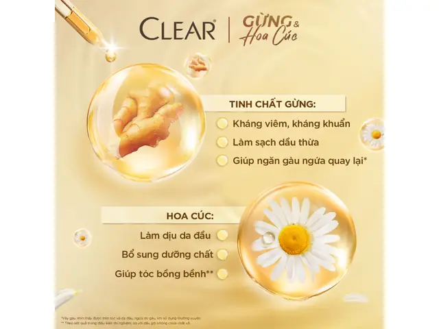 Công Dụng Của Dầu Gội Clear