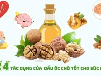 Công Dụng Của Dầu Óc Chó Công Dụng Của Dầu Óc Chó