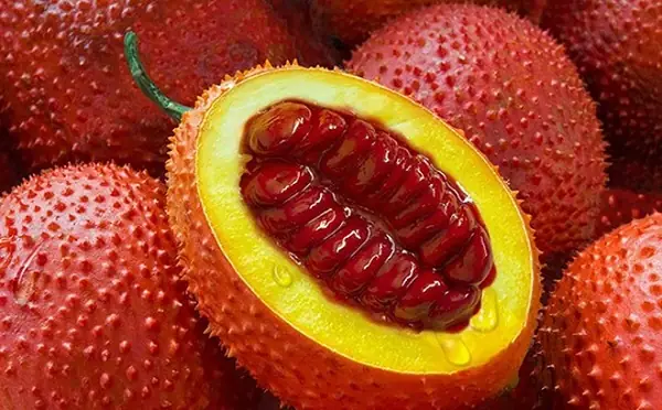 Công Dụng Của Hạt Gấc Trong Làm Đẹp
