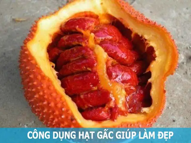 Công Dụng Của Hạt Gấc Trong Làm Đẹp