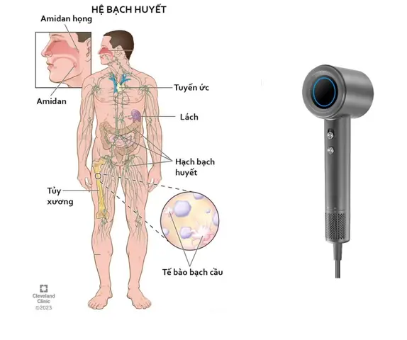 Công Dụng Của Máy Sấy Tóc