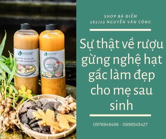 Công Dụng Của Rượu Gừng Nghệ Hạt Gấc