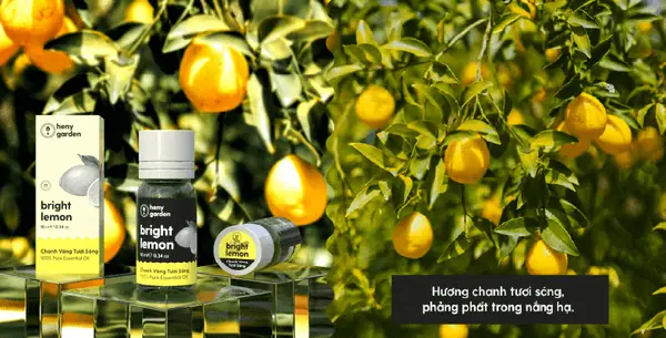 Công Dụng Của Tinh Dầu Chanh Công Dụng Của Tinh Dầu Chanh