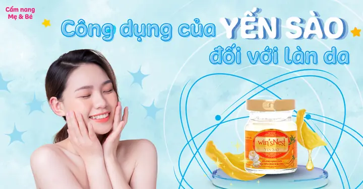 Công Dụng Của Yến Sào Với Làn Da Công Dụng Của Yến Sào Với Làn Da