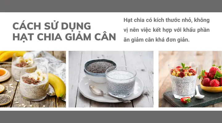 Công Thức Giảm Cân Bằng Hạt Chia
