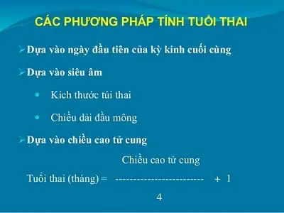Công Thức Tính Tuổi Thai Theo Bề Cao Tử Cung
