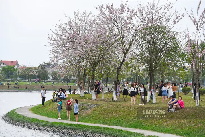 Công Viên Thành Phố Bắc Ninh