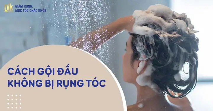 Cứ Gội Đầu Là Bị Rụng Tóc