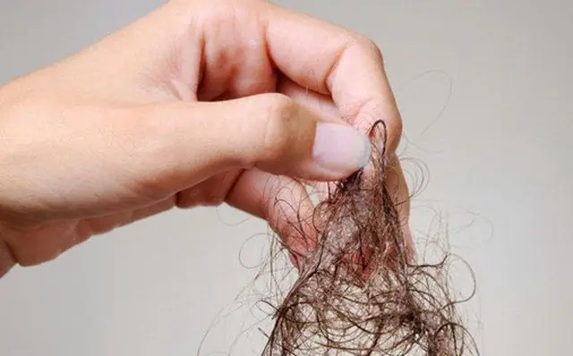 Cứ Gội Đầu Là Bị Rụng Tóc