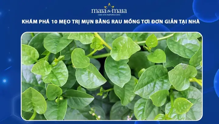 Đắp Mặt Bằng Rau Mồng Tơi