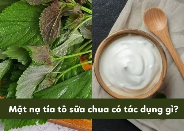 Đắp Sữa Chua Lên Mặt Có Tác Dụng Gì Đắp Sữa Chua Lên Mặt Có Tác Dụng Gì