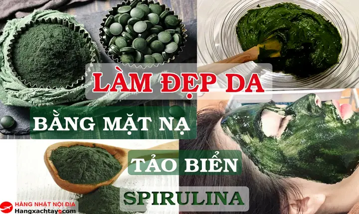 Đắp Tảo Biển Có Tốt Không