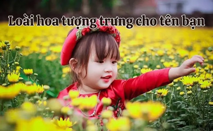 Đặt Tên Con Gái Theo Các Loài Cây Đặt Tên Con Gái Theo Các Loài Cây