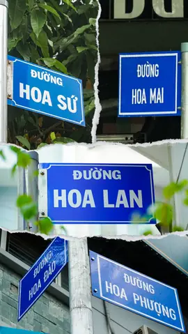 Đặt Tên Con Theo Loai Hoa Quý