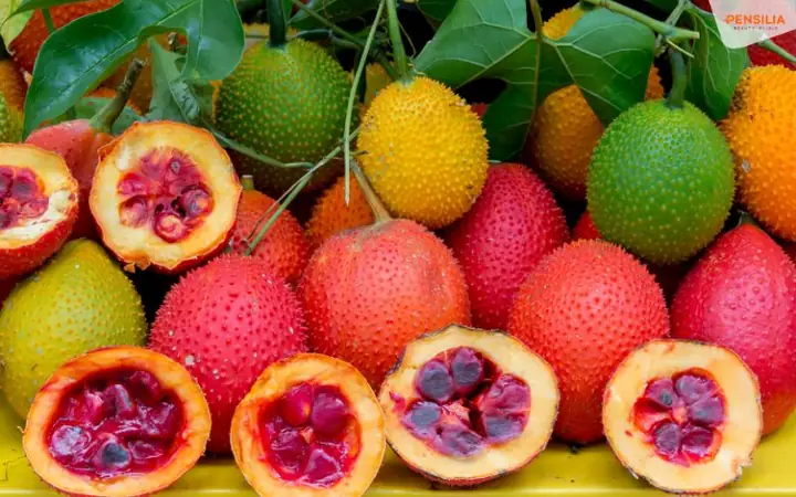 Dầu Gấc Trị Mụn Đầu Đen