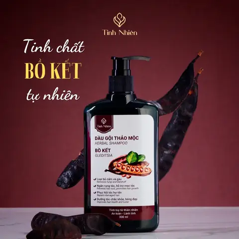 Dầu Gội Bồ Kết Mọc Tóc Dầu Gội Bồ Kết Mọc Tóc
