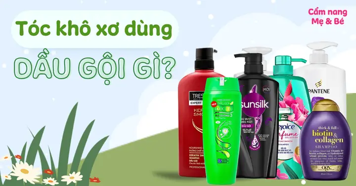 Dầu Gội Đầu Nào Tốt Cho Tóc Khô