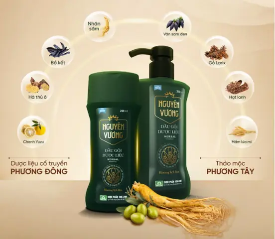 Dầu Gội Không Chứa Bạc Hà Dầu Gội Không Chứa Bạc Hà