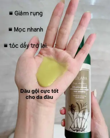 Dầu Gội Nào Giúp Tóc Mọc Dày Hơn