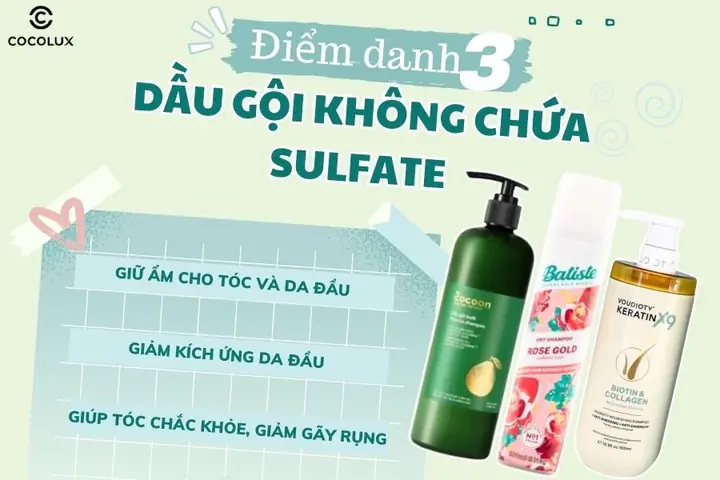 Dầu Gội Nào Không Chứa Sulfate