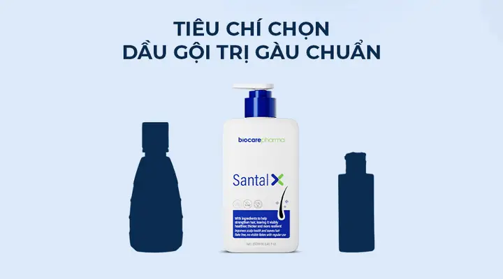 Dầu Gội Nào Trị Gàu Tốt Nhất